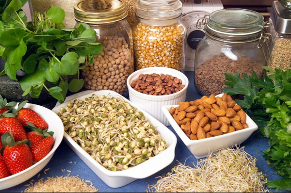 Fiber Rich Diets and Vitamin A May Prevent Allergies