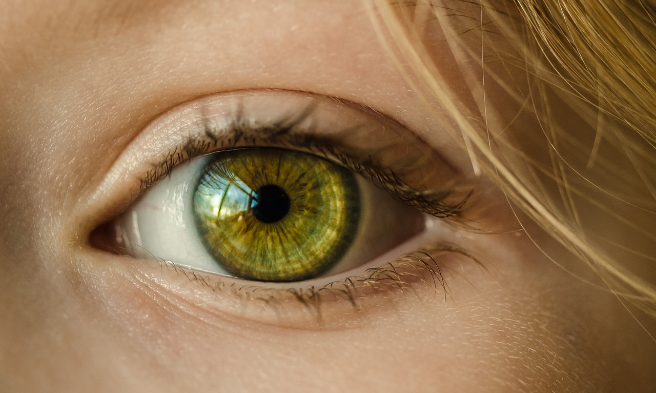 6 Foods That Boost Good Eye Health