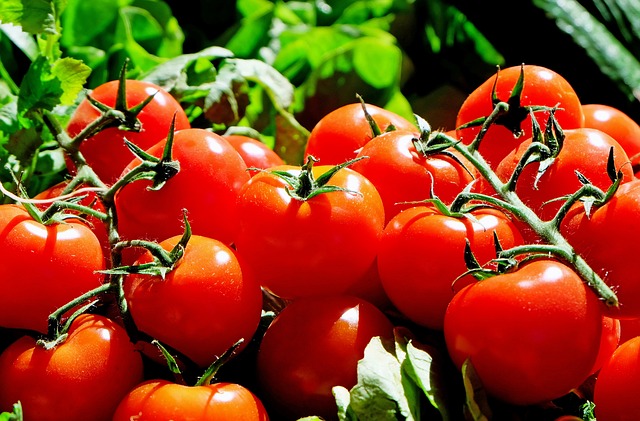 Eating Tomatoes Could Slash Your Skin Cancer Risk In Half