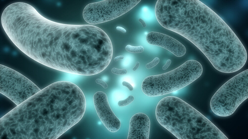 Healthy Gut Bacteria Protects Against Type 2 Diabetes