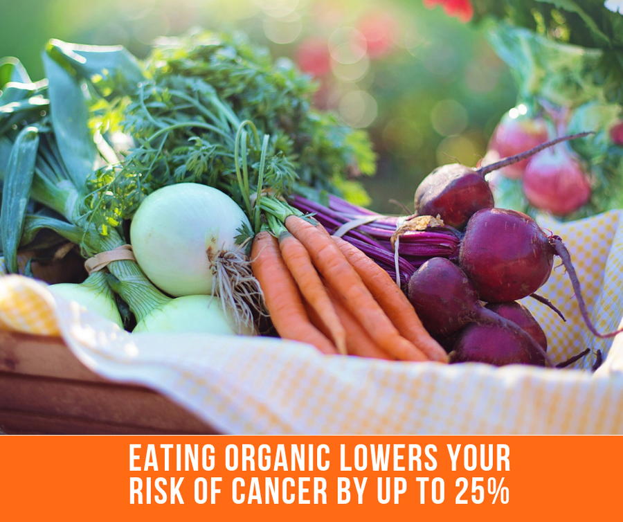 Eating Organic Produce Lowers Your Risk Of Cancer By 25%