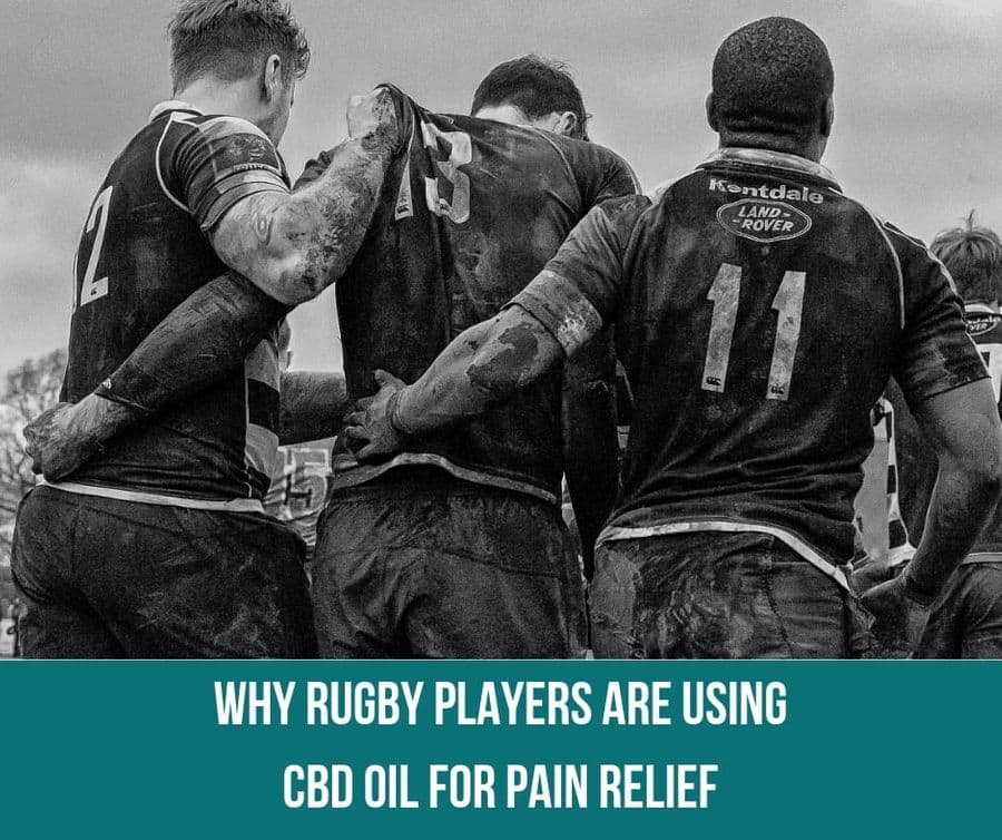 Why Rugby Players Are Using CBD Oil For Pain Relief
