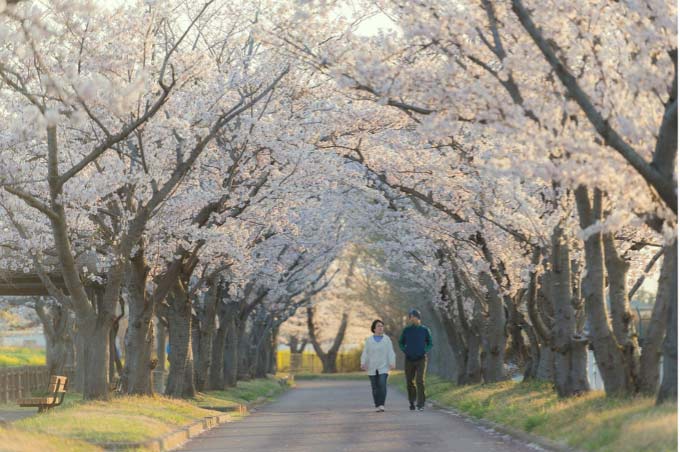WEEK 12 (2023) – Could Walking Help You To Live Longer?