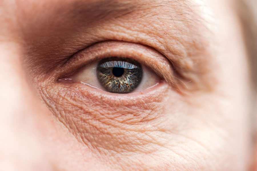 WEEK 16 (2023) – Taking A Look At Age-Related Eye Diseases…