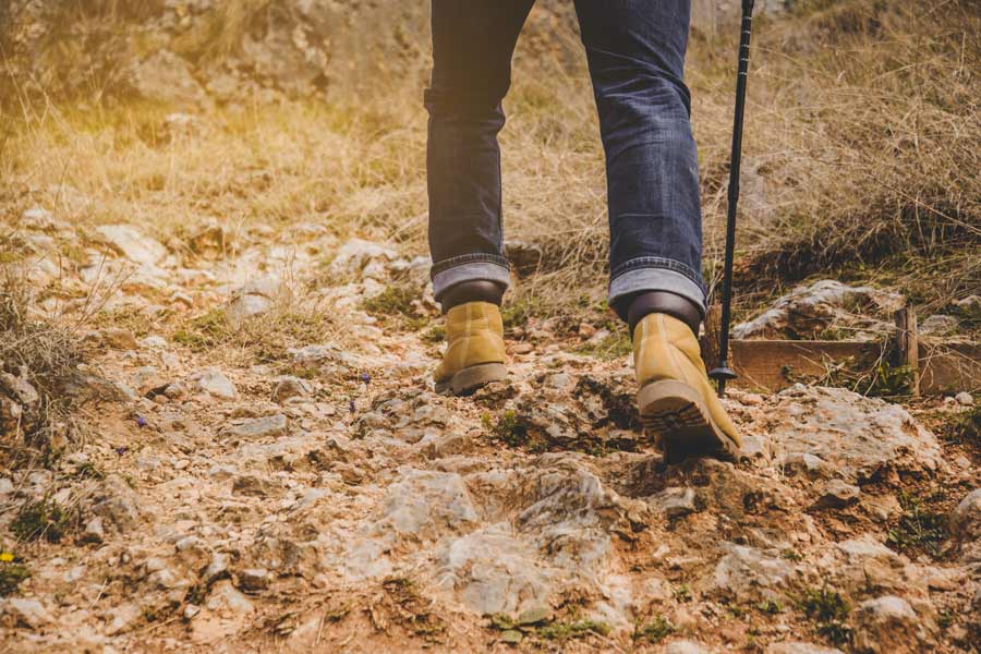 WEEK 38 (2023) – Why Getting Dirty is Good For Your Health