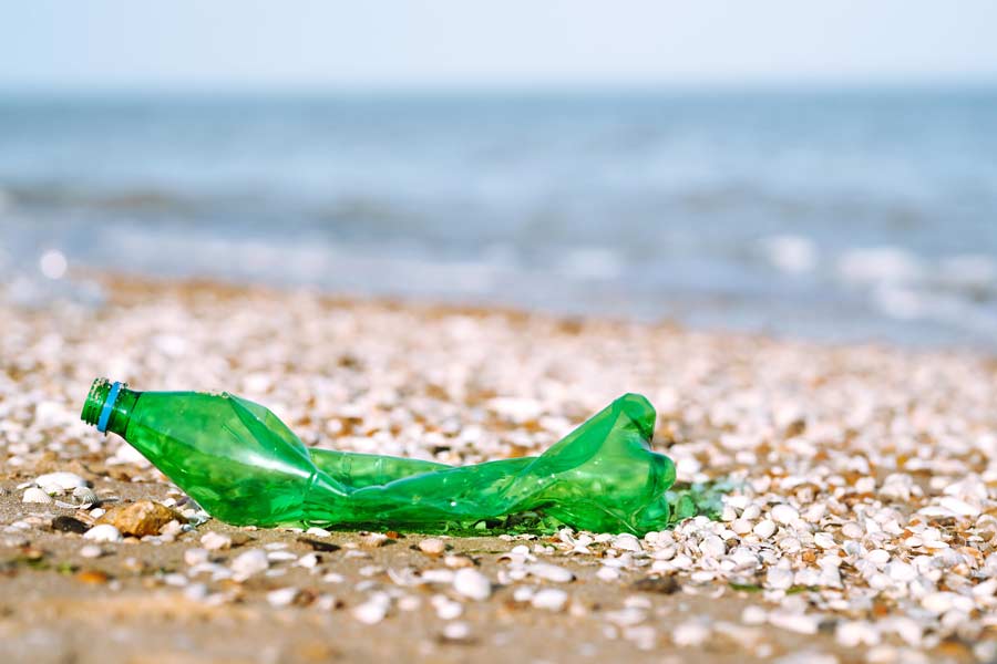 WEEK 37 (2023) – Plastics in the Environment and Our Health