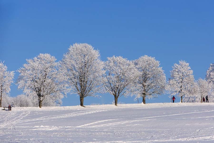 Beat the Winter Blues and Ease SAD Naturally