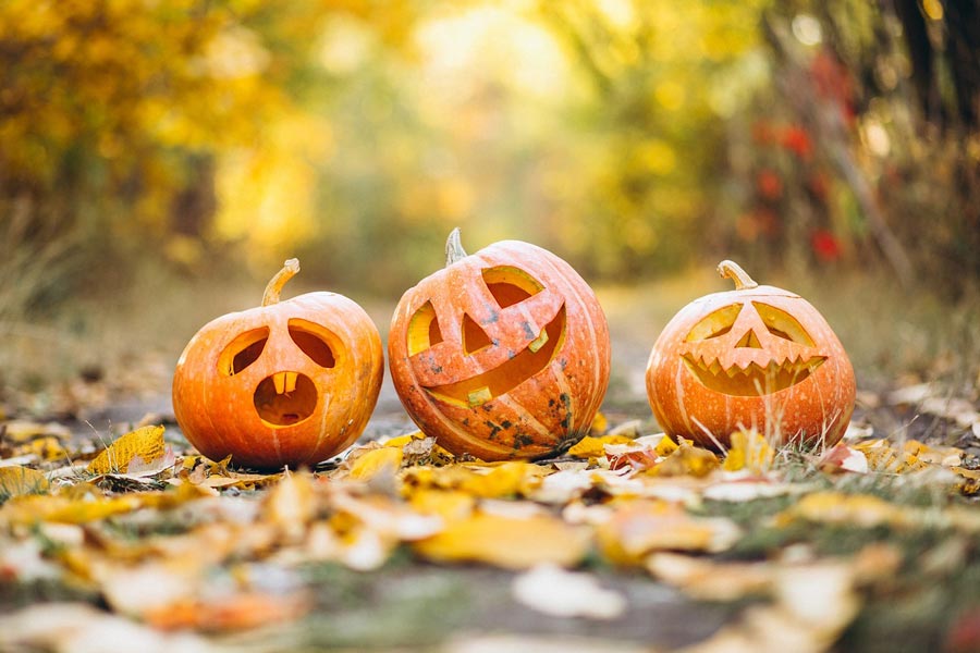 Fight the Fright with Natural Stress Relievers