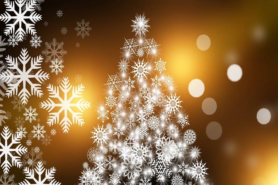 WEEK 51 (2024) – Wishing You a Healthy & Joyful Holiday Season