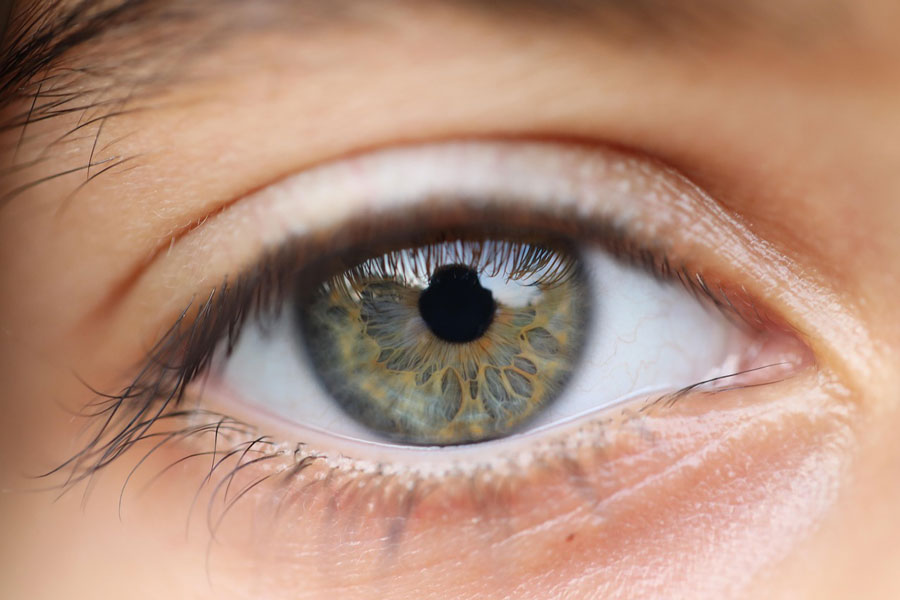 Nutrition and Lifestyle Strategies for AMD Prevention and Eye Health