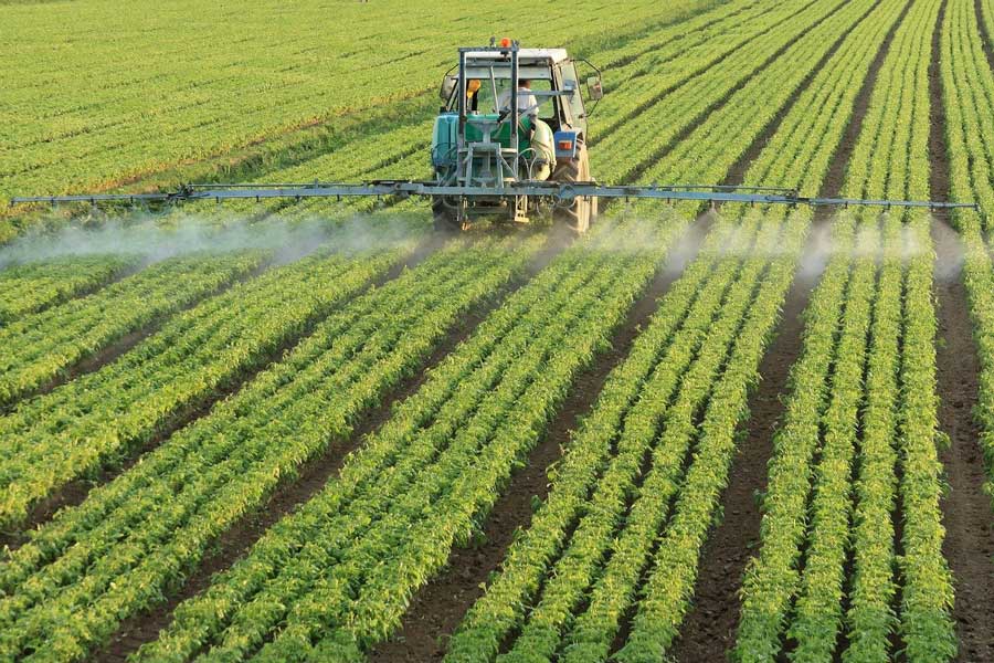 WEEK 15 (2025) – Are We Being Nutritionally Starved by Our Food System?