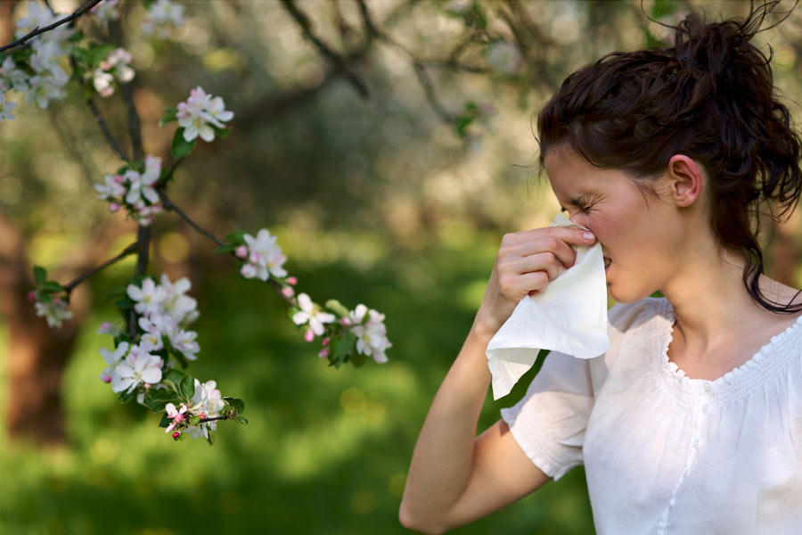 WEEK 19 (2025) – What’s Behind the Allergy Epidemic?
