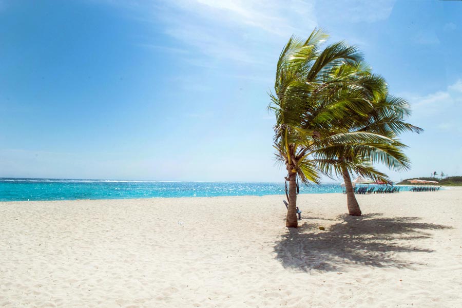 WEEK 24 (2025) – The Truth About Sunscreen and Skin Ageing