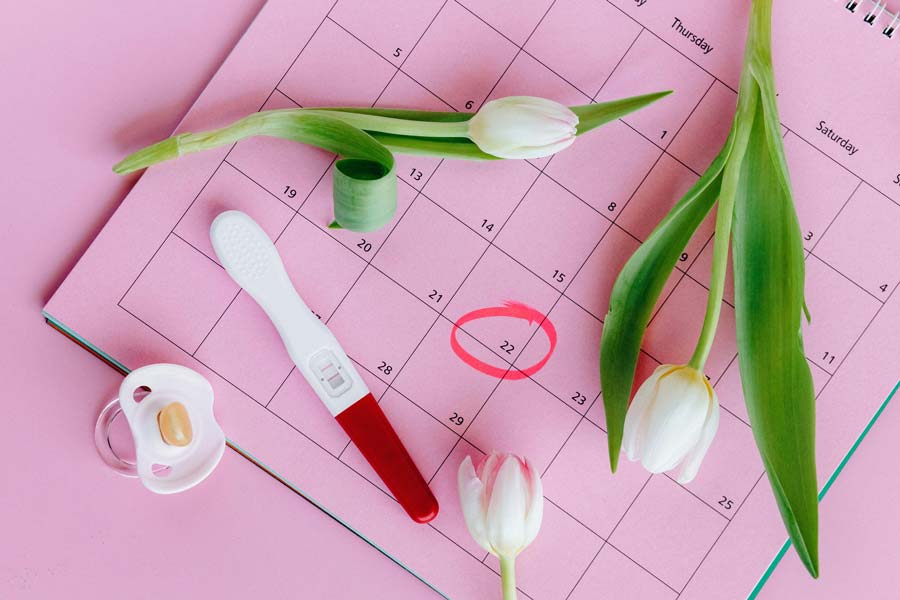 Ubiquinol and Fertility: Supporting Reproductive Health Naturally