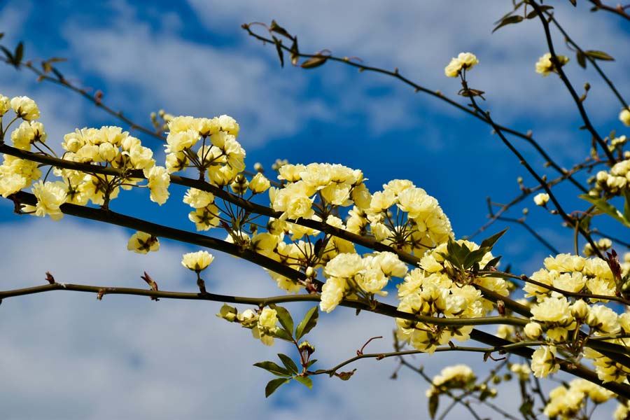 Why a Vitamin D Supplement Is Essential to Avoid a Winter Vitamin D Deficiency