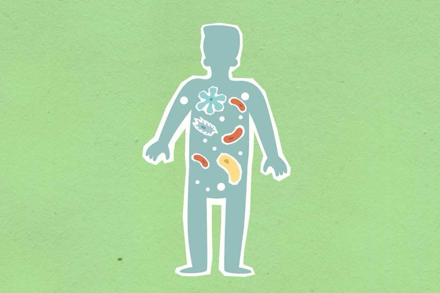 What is Sodium Butyrate Good For? Benefits for Gut, Metabolic and Brain Health