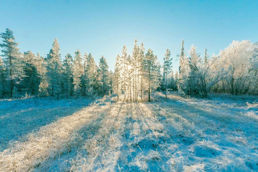 WEEK 03 (2026) – When January Feels Heavy