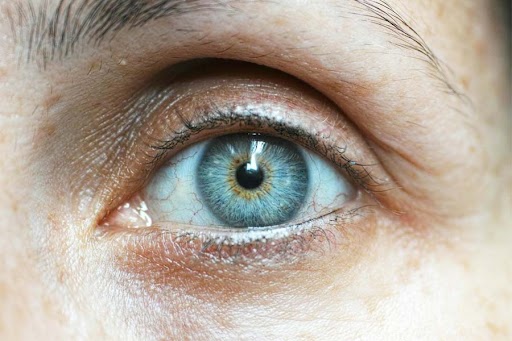 Eye Health and Vision Support: Nutrients, Ageing and Lifestyle