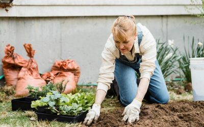 WEEK 23 (2026) – The Surprisingly Powerful Health Benefits of Getting Your Hands Dirty