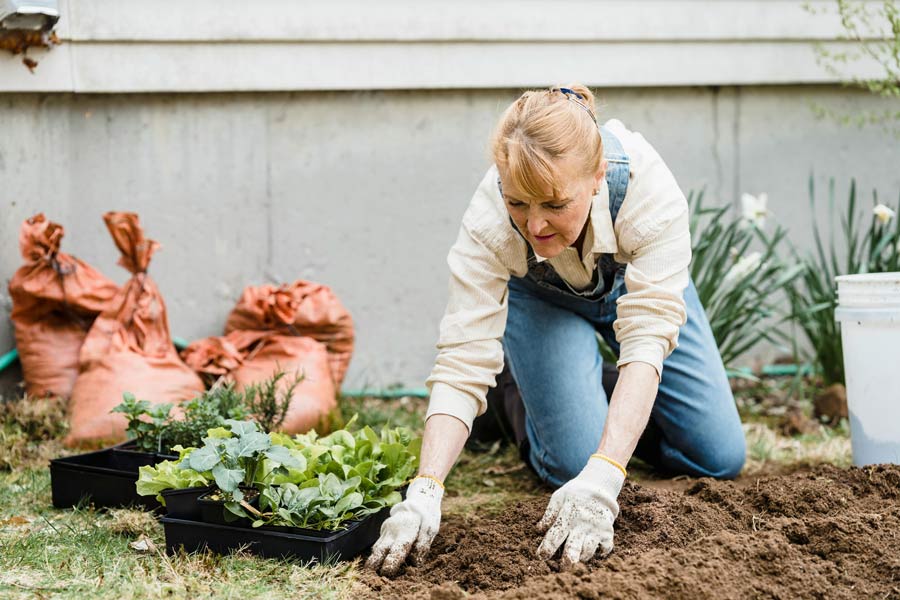 WEEK 23 (2026) – The Surprisingly Powerful Health Benefits of Getting Your Hands Dirty