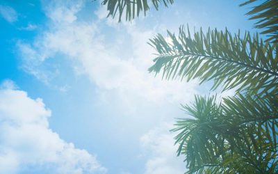 WEEK 30 (2026) – The vitamin D mistake many of us make