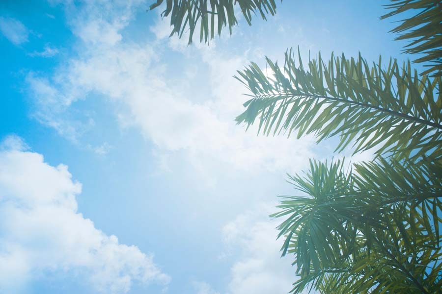 WEEK 30 (2026) – The vitamin D mistake many of us make