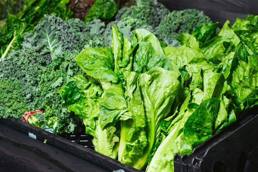 Foods for Eye Health: A Diet Guide to Support Vision